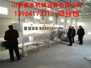 微波葡萄干殺菌設(shè)備 技術(shù)原理、優(yōu)勢(shì)與專業(yè)服務(wù)解析